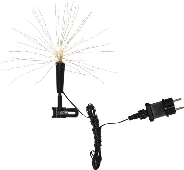 Baumstern Firework
