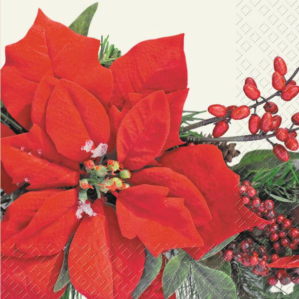 STEWO Servietten Amilia 33x33cm 2572765420 rot, FSC Mix 20 Stück
