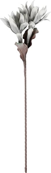 EGLO Kunstblume MOLAVE 428123 grau