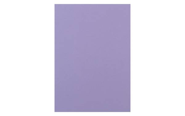 Rainbow Papier FSC A4 120g, violett 250 Blatt PAPYRUS 88043108