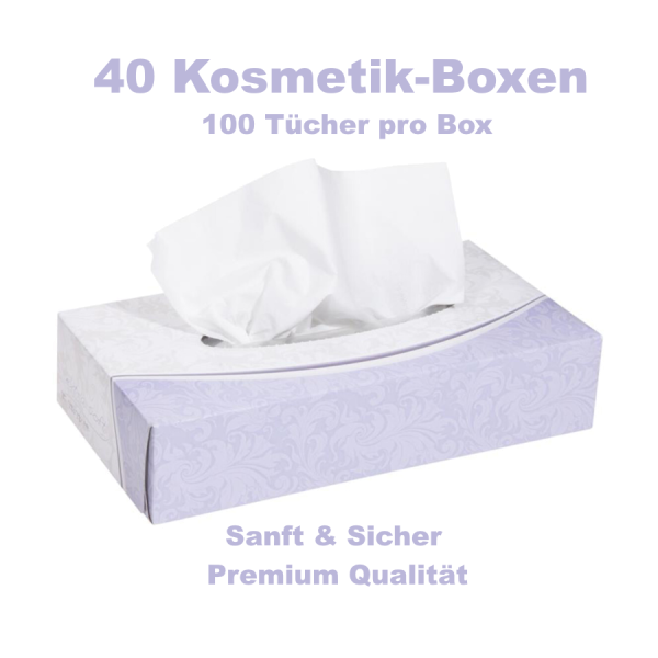40 Boxen Premium Kosmetikbox à 100 Tücher – Dekorbox