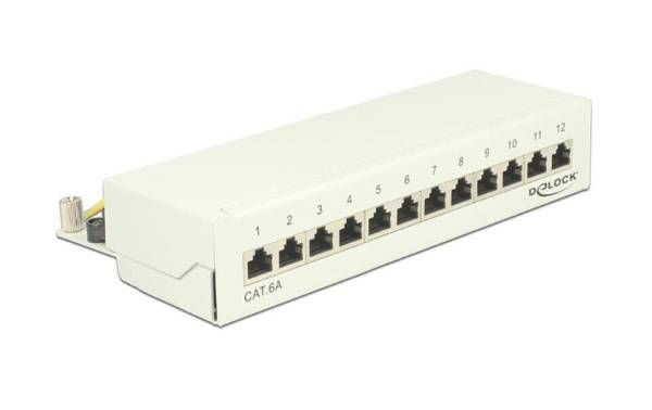 Delock Netzwerkpanel 12 Port Desktop Cat.6A LSA weiss