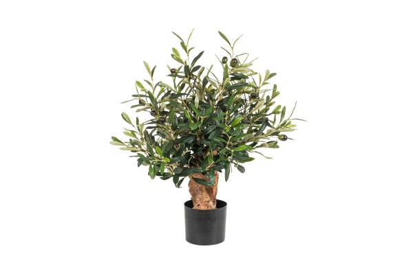 Botanic-Haus Kunstpflanze Olivenbaum 56 cm