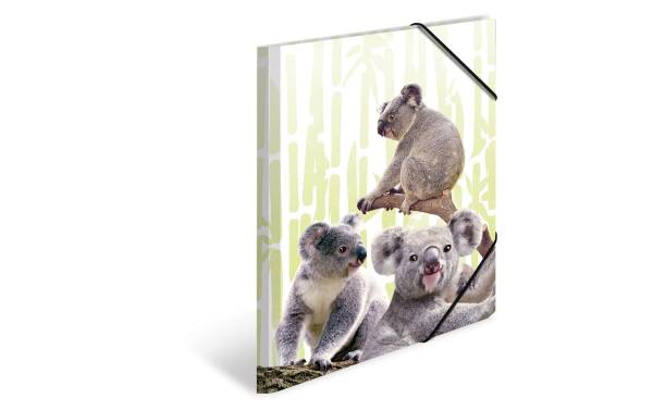 HERMA Eckspannermappe Exotische Tiere, A3, Koalafamilie