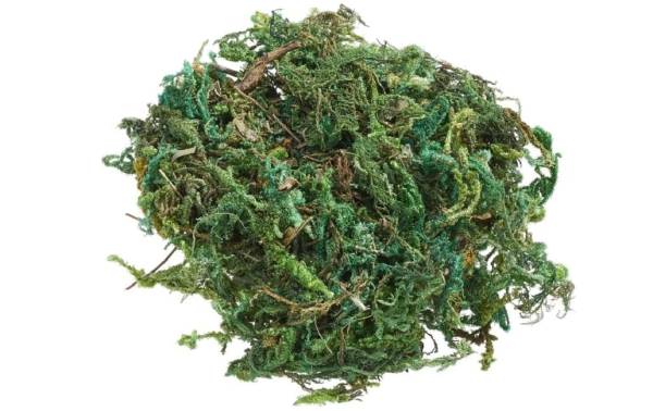 HobbyFun Mini-Utensilien Moss 20g, Hellgrün
