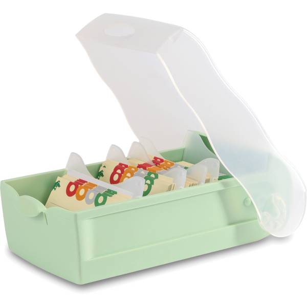 HAN Karteibox Croco A7 N451451 pastellgrün 27×12.7×8.4cm