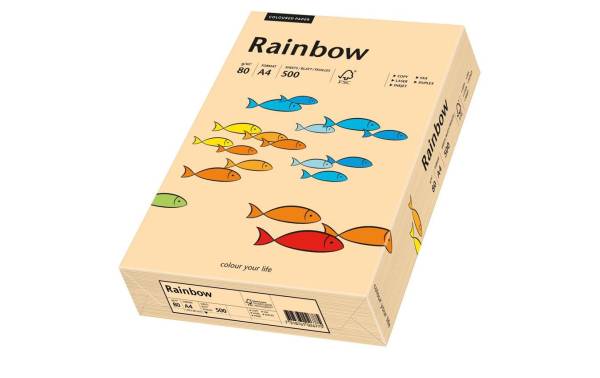 Rainbow Papier FSC A4 80g, lachs 500 Blatt PAPYRUS 88042498