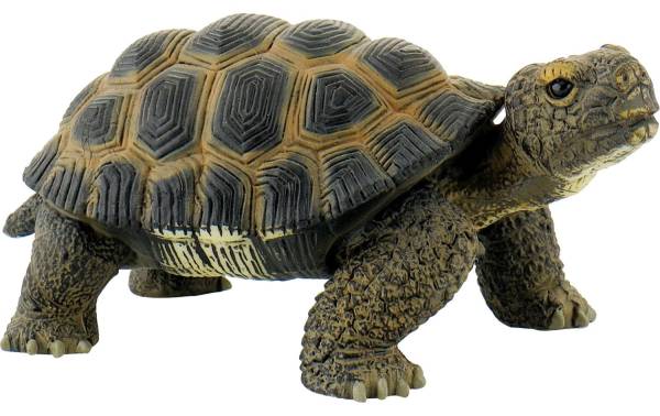 BULLYLAND Sammelfigur Landschildkröte