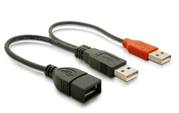 Delock USB 2.0-Y-Kabel USB A – USB A 0.22 m