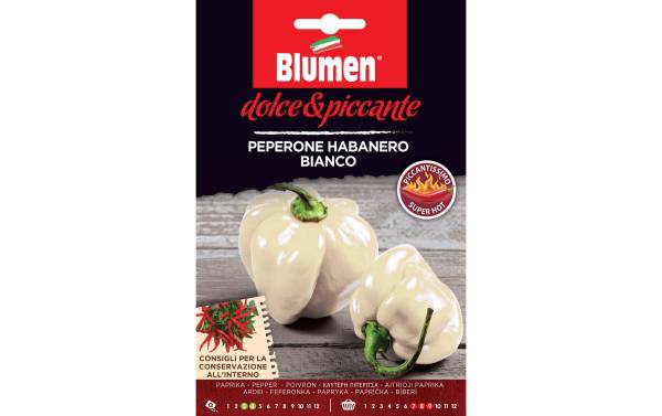 Blumen Samen Paprika Habanero Bianco