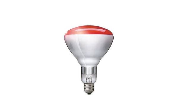 Philips Lampe BR125 250 W E27 Infrarot