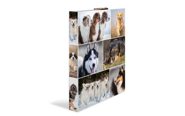 HERMA Ringbuch "Animals" – Hunde, DIN A4, 2-Ring-Mechanik