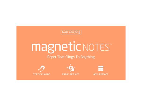 AM. Magnetic Notes L200x100mm peachy 100 Blatt TESLA 114