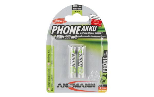 ANSMANN maxE NiMH Akku, Micro AAA, 550 mAh, 2er Blister