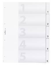 DURABLE Kunststoff-Register, A4, 20-teilig, transparent