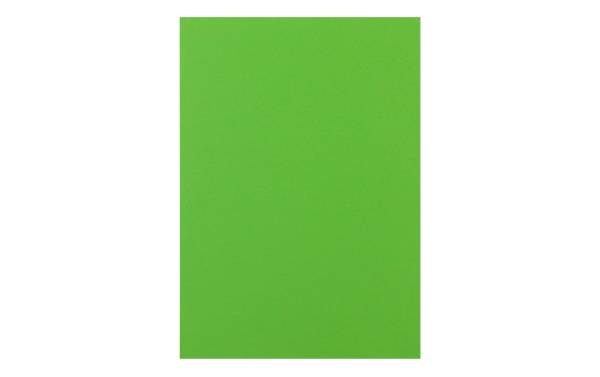 Rainbow Papier FSC A4 160g, grün 250 Blatt PAPYRUS 88043140