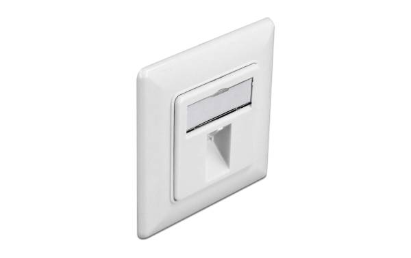 Delock Montageset 1 Port Keystone