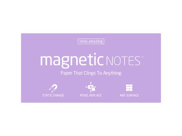 AM. Magnetic Notes L200x100mm pearl 100 Blatt TESLA 118
