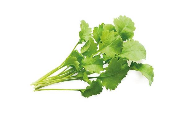 Click and Grow Samen Kresse Nachfüllpackung 3er-Set