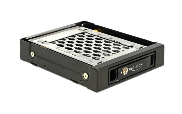 Delock Wechselrahmen 3,5 Mobile Rack für 1x 2.5