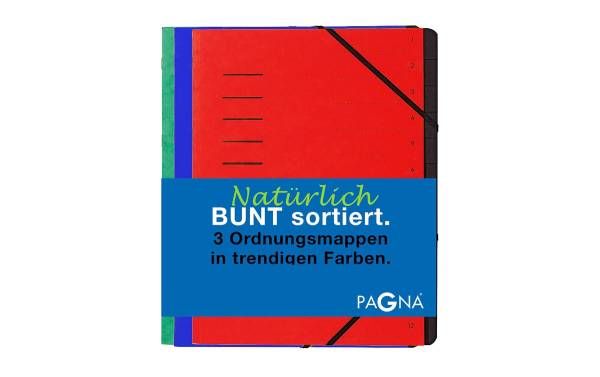 Pagna Ordnungsmappe Basic Set Blau/Grün/Rot