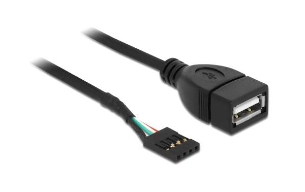 Delock USB 2.0-Kabel Pinheader – USB A 0.2 m