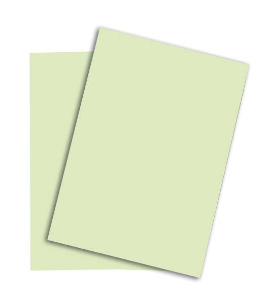 Rainbow Papier FSC A3 80g, grün 500 Blatt PAPYRUS 88042588