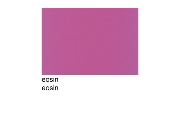 Scaldia Tonzeichenpapier A2, 130 g/m², 100 Stück, Eosin