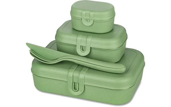 Koziol Lunchbox Pascal Ready 4-teilig, Grün