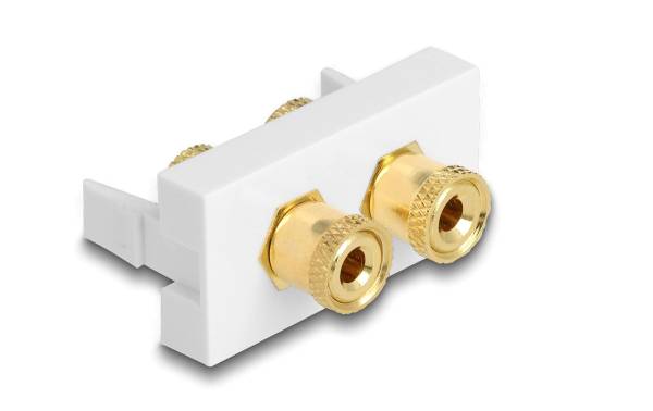 Delock Audio-Adapter 22.5x45mm, Optik 2 Spezial – Spezial