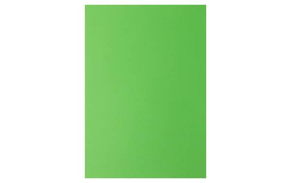 Rainbow Papier FSC A4 120g, grün 250 Blatt PAPYRUS 88043112
