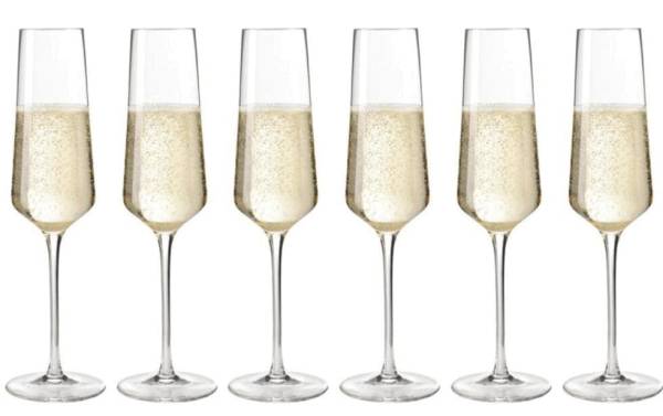Leonardo Sektglas Puccini 280 ml, 6 Stück, Transparent
