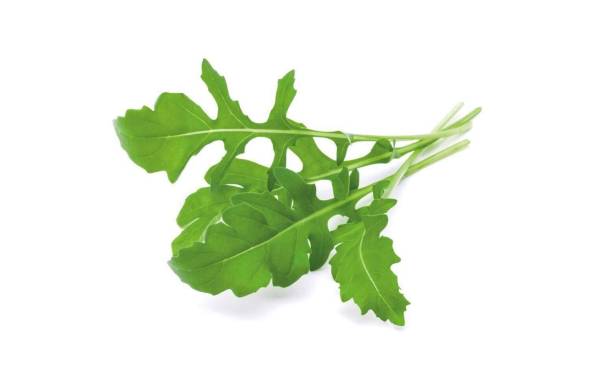 emsa Substratkapsel CLICK&GROW RUCOLA