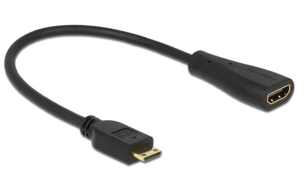Delock Adapterkabel Mini-HDMI (HDMI-C) – HDMI