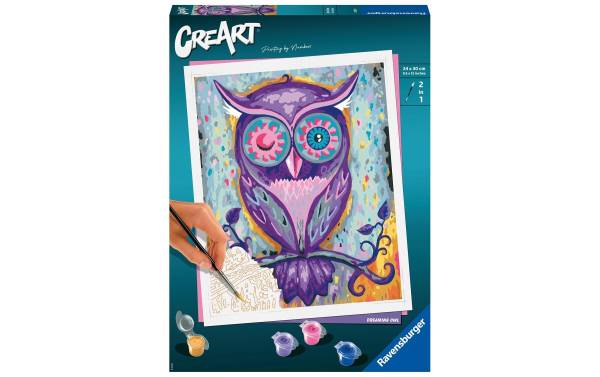 Ravensburger Malen nach Zahlen Serie C Dreaming Owl