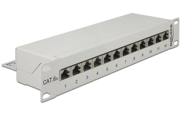 Delock Netzwerkpanel 12 Port 10 Cat.6A LSA Grau