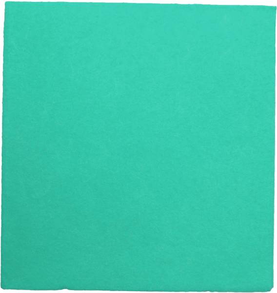 WEITACLEAN Allzwecktuch Olivia 38x40cm 721263 grün 30 Stück