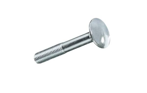 Krafter Schlossschrauben M 8 x 80 mm Edelstahl, 2 Stück