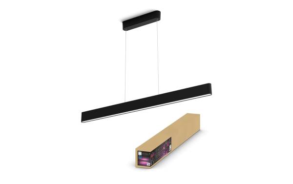 Philips Hue Pendelleuchte White & Color Ambiance, Ensis, Schwarz, BT