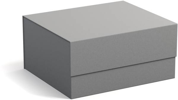 BIGSO BOX OF SWEDEN Aufbewahrungsbox Ilse 345354133 grau 3er-Set