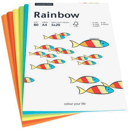 Rainbow Mixpack intensiv, 80g 100 Blatt PAPYRUS 88043188