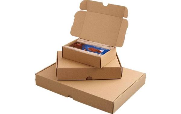 SMARTBOXPRO Maxibriefkarton, (B)240 x (T)160 x (H)50 mm